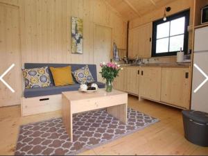 Gallery image of Chalet sur pilotis avec terrasse pour 4 personnes - API-1-52-496 in Moncrabeau