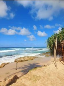 - une plage avec 2 palmiers et l'océan dans l'établissement KoKo HomeStay-Weligama Apartment & Private Room, à Walliwala East