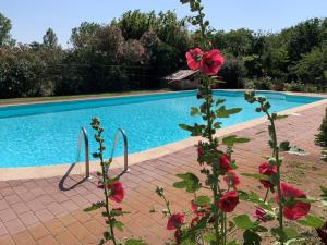 a swimming pool with red flowers in front of it at Countryside Bliss with Pool & Tennis in Pontecchio Polesine
