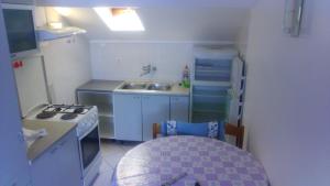 a small kitchen with a sink and a stove at Apartments Govic in Zaboric