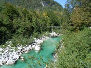 a river with a bridge in the middle of a forest at Hisa Lescer in Kobarid