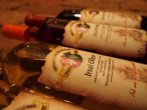 Afbeelding uit fotogalerij van Penzion u Ivana in Bořetice