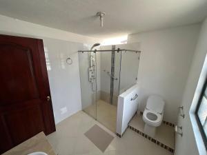a bathroom with a shower and a toilet at Casa Rosita Cerca a Plaza Mayor in Villa de Leyva