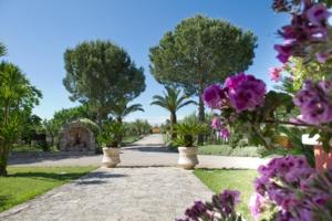a pathway with purple flowers and palm trees at I Due Pini in Sogliano Cavour