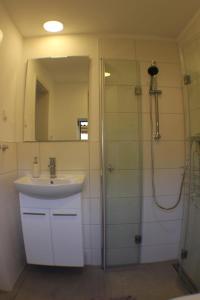 a bathroom with a sink and a shower with a mirror at Ferienhaus Sonneck in Klockenhagen +28 photos