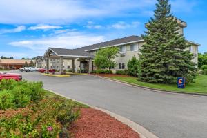 a house with a tree and a driveway at Comfort Inn Rhinelander in Rhinelander