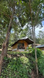 a tent in the middle of some trees at Deshadan Jungle in Kanthalloor
