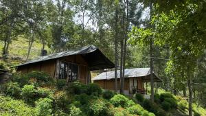a small house with a tin roof in a forest at Deshadan Jungle in Kanthalloor