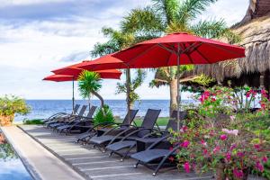 a row of chairs and umbrellas on a pool at Azure Dive Resort in Dauin +24 photos