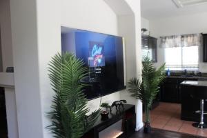 een tv aan een muur in een woonkamer met twee planten bij Luxurious 5-Bedroom Retreat with Saltwater Pool and Spa in Elk Grove
