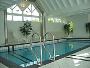 a swimming pool with twoadders in the middle of it at Im-Dorfblick in Pronsfeld