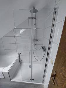 a shower with a glass door in a bathroom at Charmantes Albbruck Rückzugsort in Albbruck +23 photos