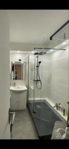 un baño con ducha y lavabo en Appartement St Cast centre ville 50 m de la plage, en Saint-Cast-le-Guildo