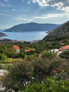 a view of the water from a hill with flowers at Villa Smokovac in Risan