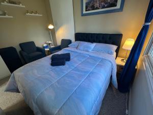 Ảnh trong thư viện ảnh của Canberra Hospital Blue Daisy ở Phillip