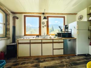 a kitchen with a sink and a refrigerator at Vila Eruga- Apartament 5 in Poiana Mărului