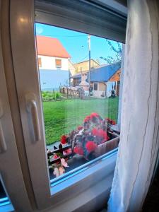 a window with a bunch of flowers on the ground at Let in Brod Moravice +6 photos