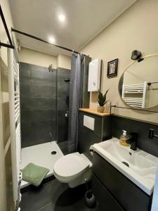 Un baño con inodoro, lavabo y ducha. en Panorama-Apartment mit Rhein-, Loreley- und Burgenblick direkt am Rheinsteig, en Patersberg