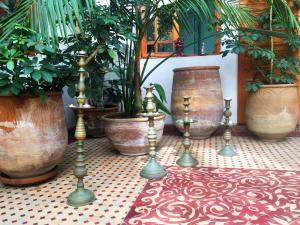 Κήπος έξω από το Riad Dar Karima