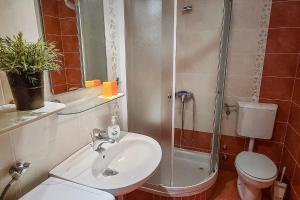 a bathroom with a shower and a sink and a toilet at Vila Biserka in Stara Baška +13 photos