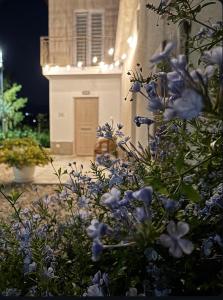 Zahrada ubytování Dimora Tra Mare e Montagna + 4 fotografie