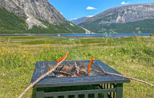 a grill with carrots on top of a table at Cozy Home In Elvegard With Sauna in Elvegård