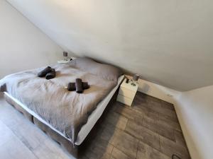 Un dormitorio con una cama con dos almohadas encima. en Ferienwohnung Friedland, en Lahnstein