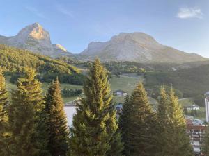 eine Gruppe von Kiefern mit Bergen im Hintergrund in der Unterkunft Appartement à GOURETTE, résidence EURONEIGE, avec balcon, vue idéale sur la montagne - 6 personnes in Eaux-Bonnes