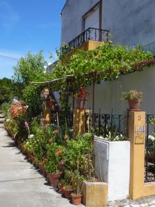 a row of potted plants on the side of a building at Apartamento Bela Vista in Pereira