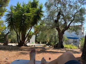 una persona sdraiata su un'amaca in un parco di B&B Villa Mediterranea with parking space a Trani