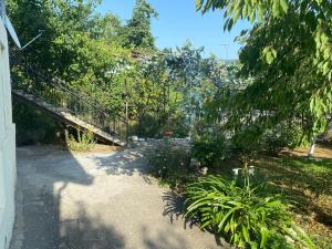 Un jardín con un puente y algunas plantas y árboles. en Guest House Chalistavi, en Chalist'avi