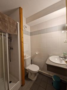a bathroom with a toilet and a sink and a shower at Chalet Beyond - Gelinotte in Oz +15 photos