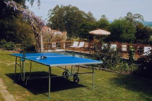 a blue ping pong table in a yard at Casa da Alvarinha Privacidade, Conforto, Natureza in Paredes