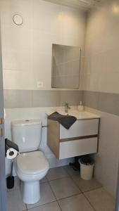 ein Badezimmer mit Toilette, Waschbecken und Spiegel in der Unterkunft Logement au calme, avec vue dégagée in Ardoix + 14 Fotos