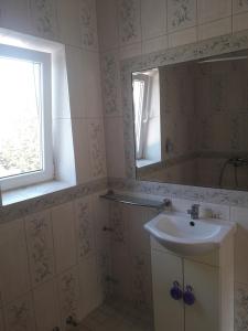a bathroom with a sink and a mirror at Apartment Nautilus in Jūrmala