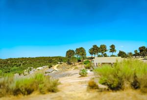 a dirt road with a building in the distance at Quinta dos Corgos in Tábua