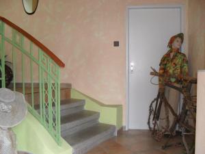 Jazda na bicykli v okolí ubytovania Pension Rak
