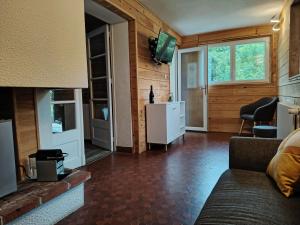 a living room with a couch and a television in a room at L'Imprévu Saint Lary Soulan in Saint-Lary-Soulan