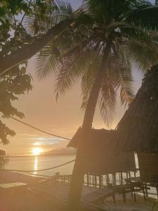 a beach with a hammock and a palm tree at Blacktive Homestay in Kri +23 photos