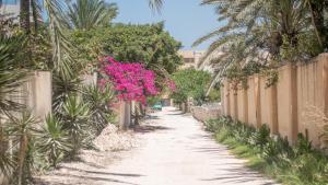 Κήπος έξω από το The White Oasis Family Villa