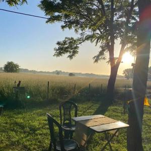 ヘネラル・ベルグラノにあるPuilquen Posada de Campo - CAMPINGの田地の木下の椅子