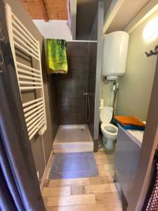 a small bathroom with a shower and a toilet at Saint-Jorioz, charmante maisonnette indépendante. in Saint-Jorioz