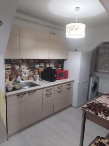 una cocina con fregadero y encimera en Children room Hunedoara, en Hunedoara