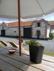 a table with a potted plant and an umbrella at Cottage Montreuil-sur-mer Petit déjeuner inclus in Écuires