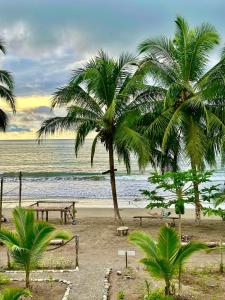 a beach with benches and palm trees and the ocean at Hibiscus House Nuquí in Nuquí +31 photos