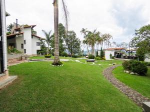 DariénにあるVilla de lujo con jacuzzi, turco y gran vistaのヤシの木と家のある芝生の庭