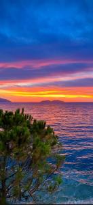a sunset over the ocean with a tree in the foreground at Private Villa Aras 2 - Luxury & Elegance Apartments in Vlorë