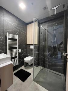a bathroom with a shower and a toilet and a sink at Hacienda Dedinky B in Dedinky +21 photos