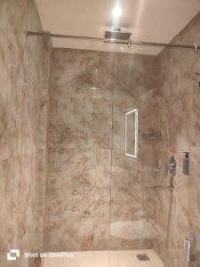 una ducha con puerta de cristal en un baño en The Citi Residenci Hotel, Bidhannagar, en Durgāpur 73 fotos más