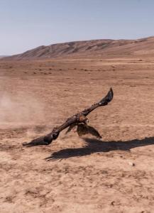 Зображення з фотогалереї помешкання Guesthouse Klara у місті Bokonbayevo